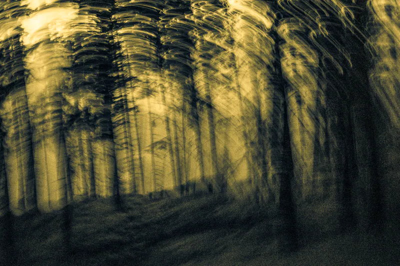 daniel simair – photo 5