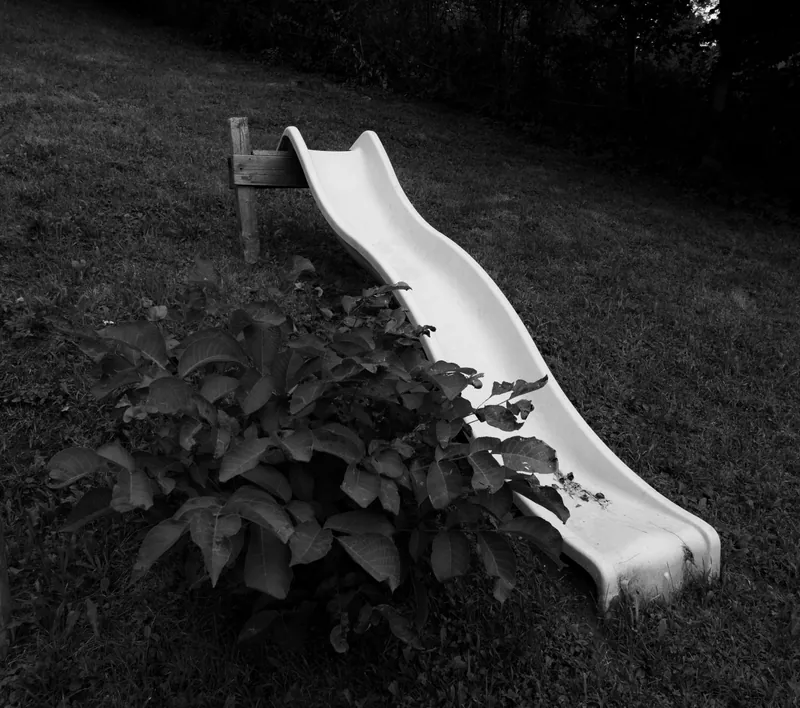 daniel simair – photo 41