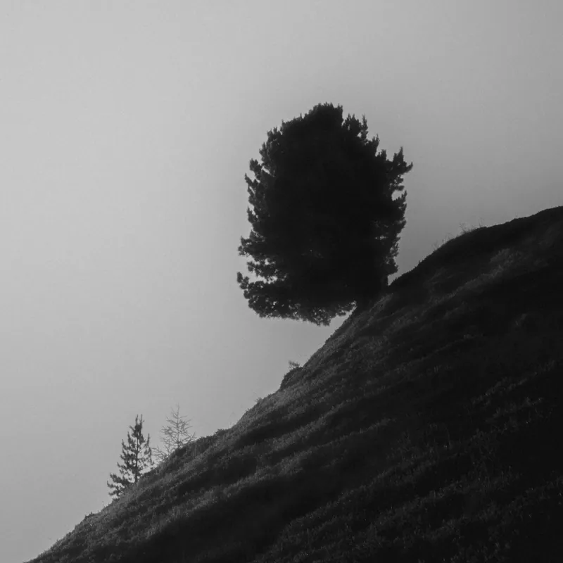 daniel simair – photo 60