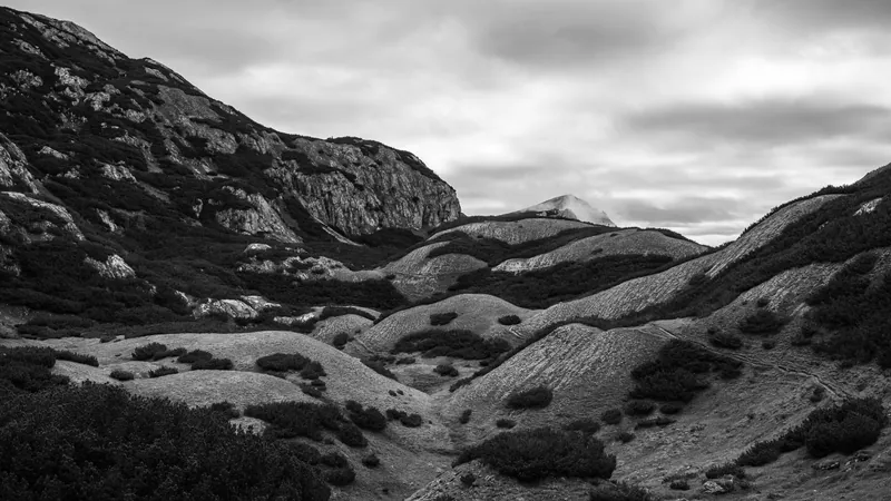 daniel simair – photo 85