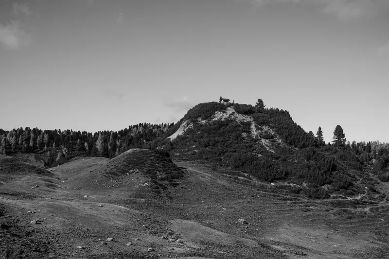 daniel simair – photo 44
