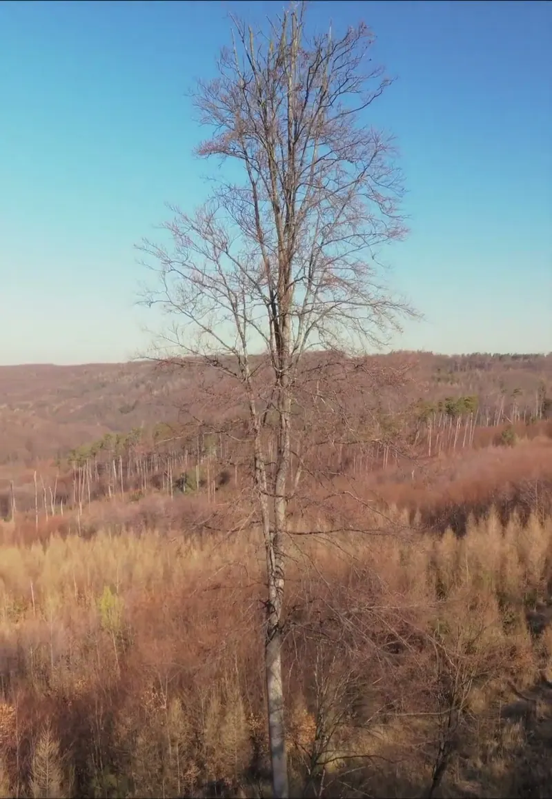April